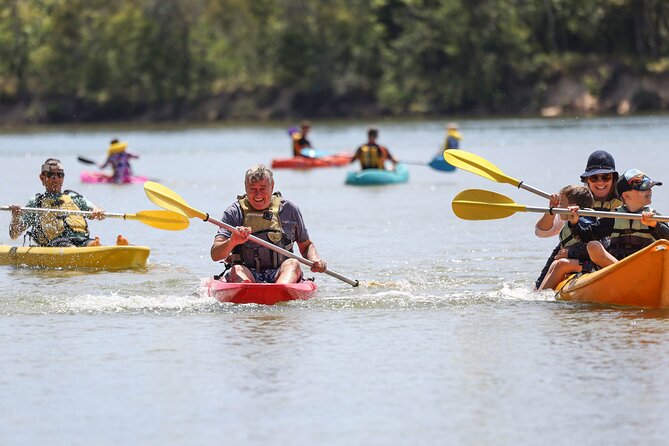 Sunset Kayak Eco Tour With Marine Scientist - Common questions