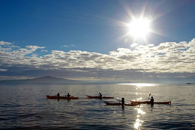Sunset Kayak Tour to Rangitoto Island - Key Points