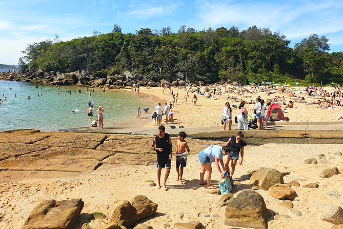 Swim With the Queen of the English Channel in New South Wales - Location