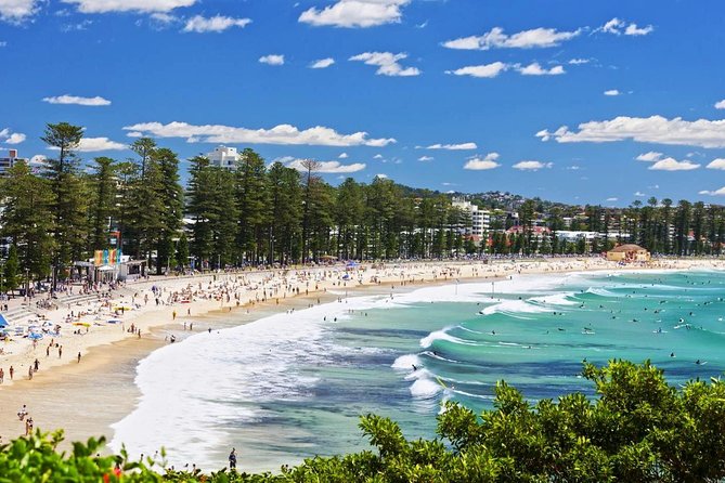 Sydneys Northern Beaches Private Day Tour Including a River Boat Cruise - Common questions