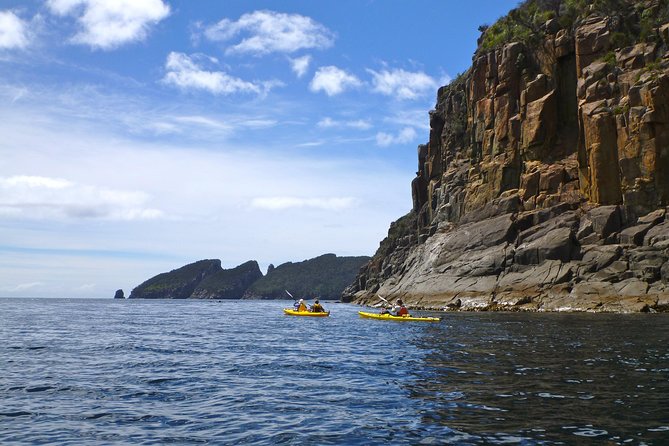 Tasman Peninsula Full Day Kayaking Tour - Common questions