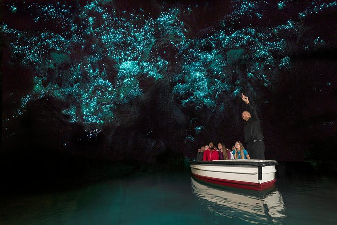 Tauranga - Waitomo : Ancient "Glow-Worm Caves" Shore Excursion - Sum Up