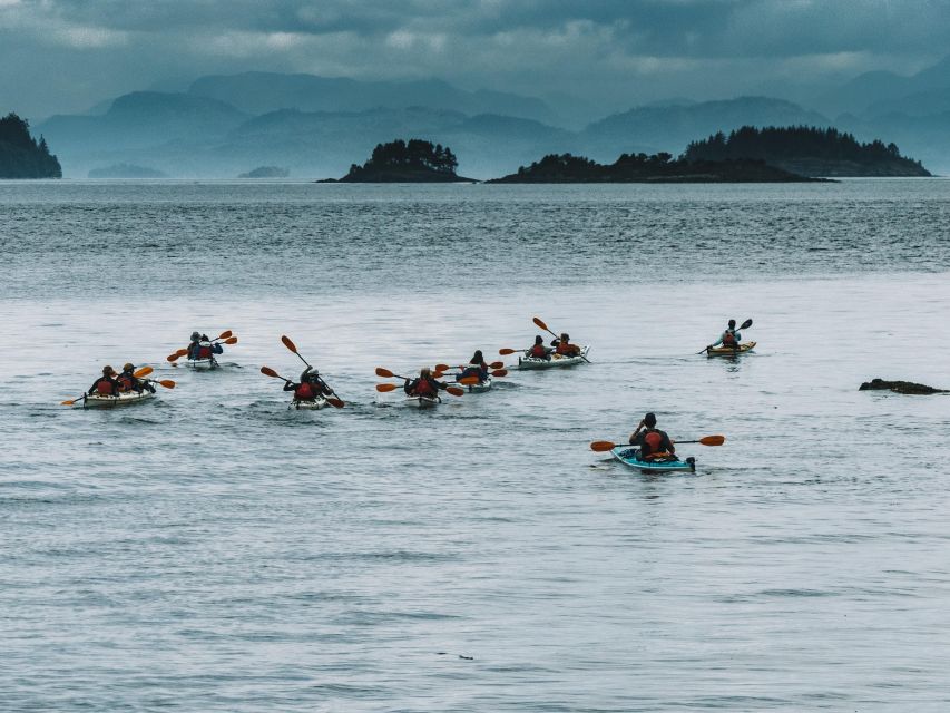 Telegraph Cove: 2 Hour Family Fun Kayaking Tour - Activity Details