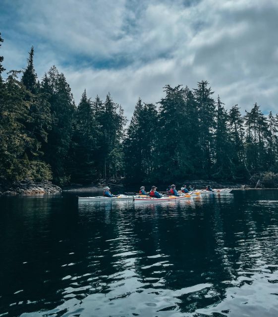 Telegraph Cove: Half-Day Kayaking Tour - Safety Precautions