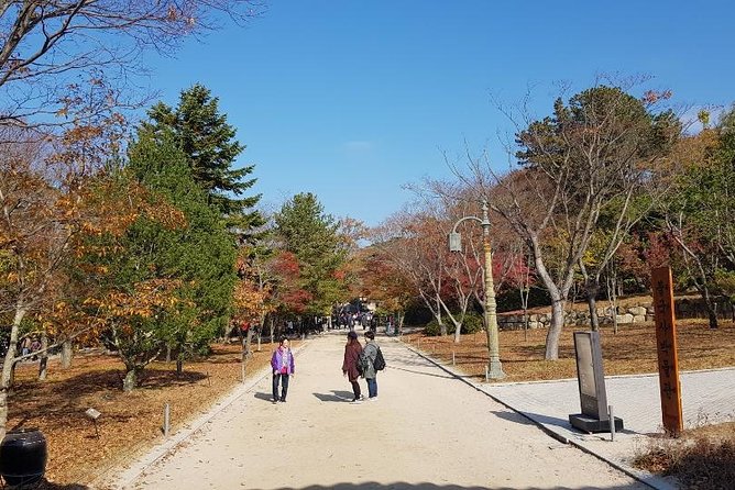 The Ancient City of Brilliant Shilla Kingdom - Gyeongju in One Day( or Overnite) - Common questions