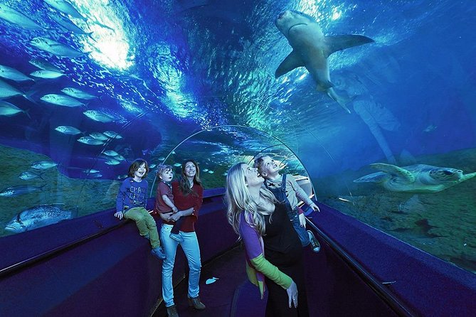 The Aquarium of Western Australia General Admission Ticket  - Perth - Additional Visitor Resources