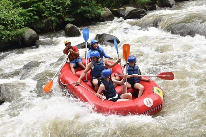 The Best Ayung River Rafting Adventure in Ubud - Sum Up