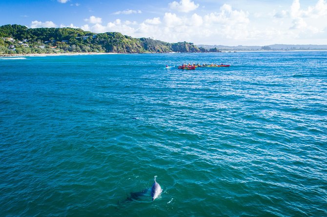 The Byron Bay Sea Kayak Tour - Safety Measures and Crew Assistance