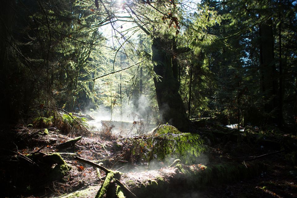 The Dark Secrets of Stanley Park Tour - Sum Up