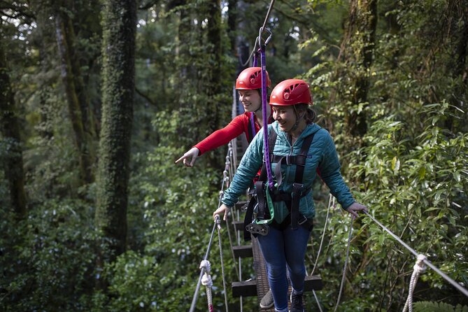 The Original Canopy Zipline Experience Private Tour From Auckland - Authentic Reviews and Ratings