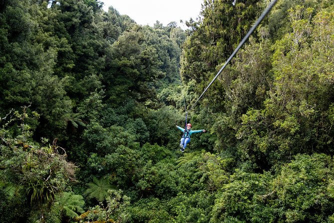 The Ultimate Canopy Zipline Experience Private Tour From Auckland - Important Information