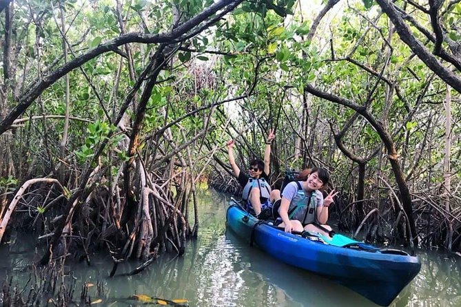 Thousand Island Mangrove Tunnel, Manatee & Dolphin Kayak Tour W/Cocoa Kayaking - Logistics and Accessibility