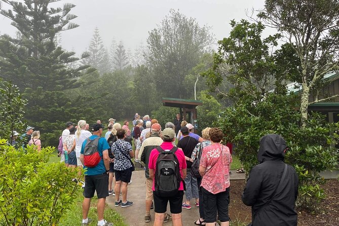 Three-Hour Guided Bushwalk With Breakfast, Cook Monument  - Norfolk Island - Pickup Details
