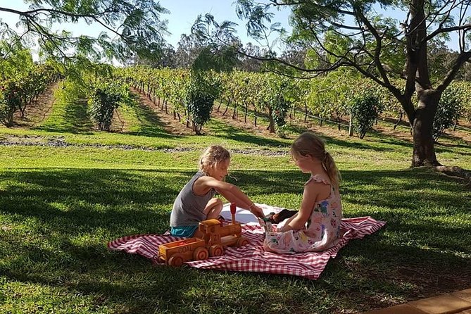 Tintilla Estate: Wine Tasting With a Meat and Cheese Platter - Cancellation and Refund Policy
