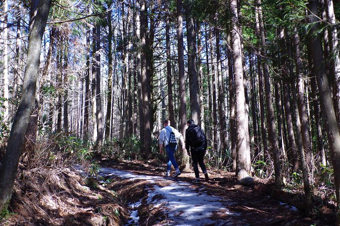 Togakushi Shrine Hiking Trails Tour in Nagano - Reviews and Customer Feedback