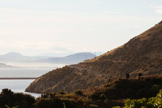 Tour of Larnachs Castle and Wildlife Cruise on Otago Harbour  - Dunedin & The Otago Peninsula - Similar Tour Options and Pricing