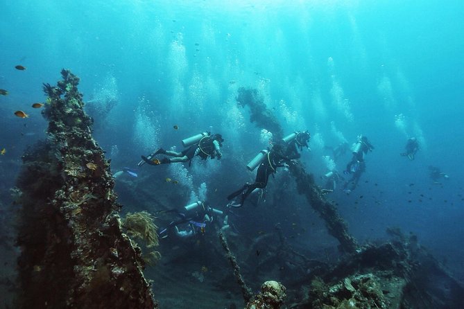 Tulamben Diving Tour Shipwreck USS Bali - Booking Information