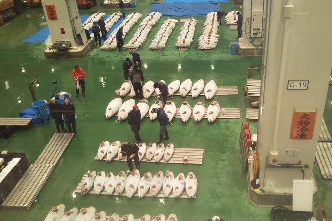 Tuna Auction at Toyosu Market With Qualified Guide and Early Morning Tour of Tsukiji Outer Market - Booking and Availability