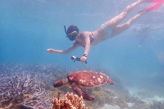 Turtle Tour - Ningaloo Reef Half Day Sea Kayak and Snorkel Tour - Sum Up