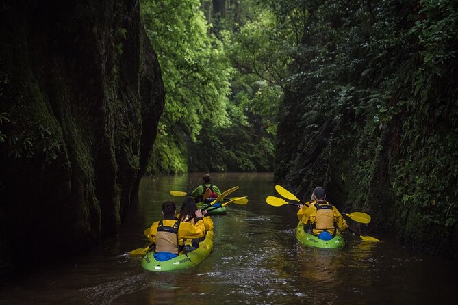 Twilight Kayak Glow Worm Tour - Common questions