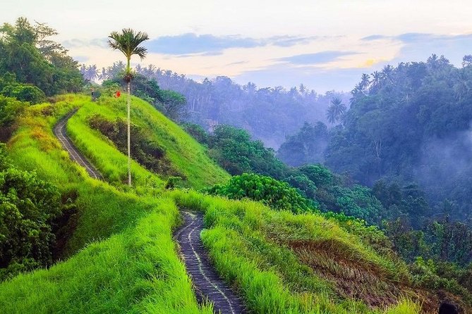 Ubud Countryside Tour: Campuhan Ridge Walk and Rice Terrace - Traveler Reviews