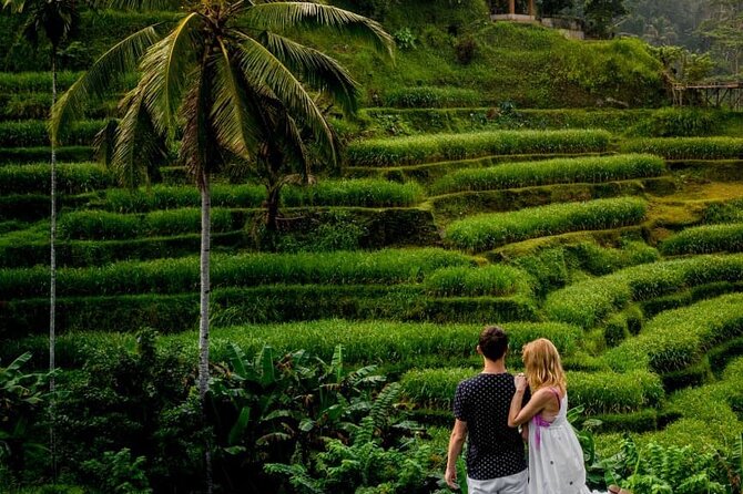 Ubud DayTrip : Monkey Forest - Rice Terrace - Jungle Swing - Water Temple - Nature Walks and Treks