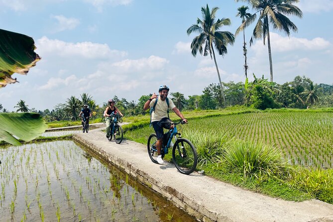 Ubud Ebikes Tour to Tegallalang Rice Terrace - Inclusions in the Tour Package