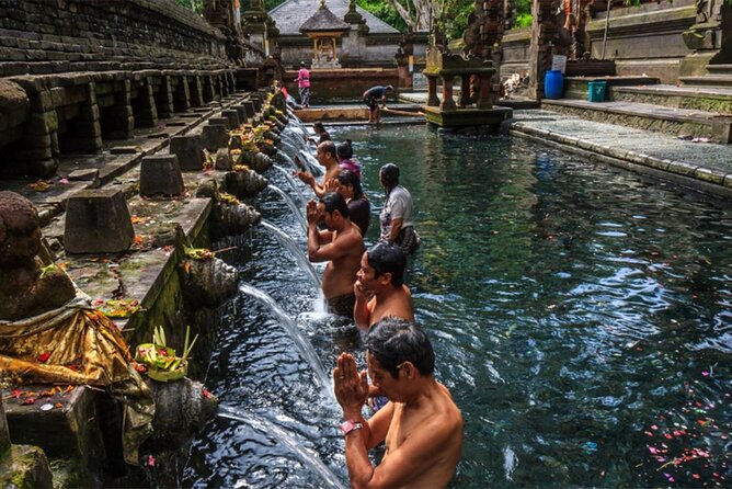 Ubud Highlight Tour With Monkey Forest, Rice Terrace, Waterfall - Traveler Resources Access