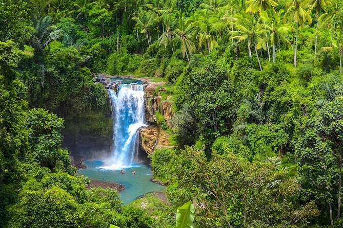 Ubud: Monkey Forest, Jungle Swing, Rice Terrace, and Water Temple - Common questions