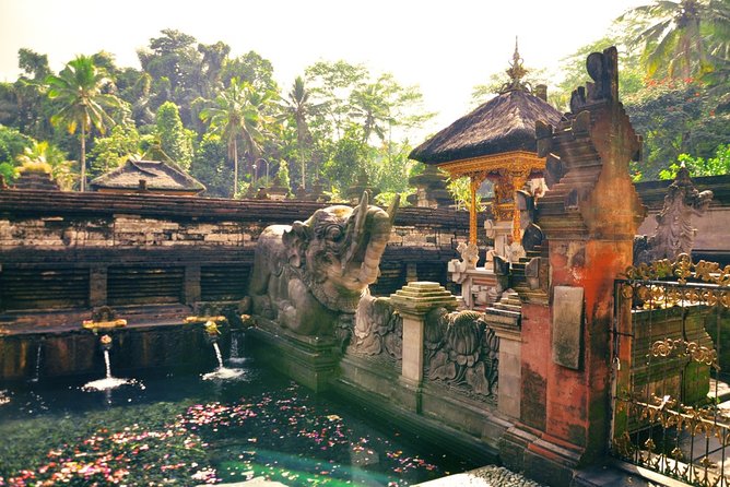 Ubud Private Highlights Tour With Lunch and In-Car Wi-Fi  - Kuta - Contact Information and Support