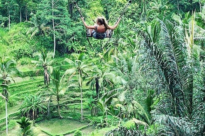 Ubud Private Tour All Inclusive. - Tour Highlights