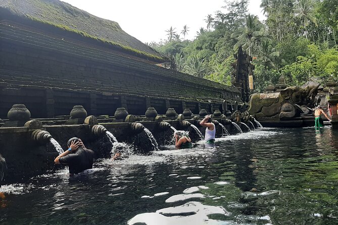 Ubud Private Transport-Only Tour With Stop at Rice Field Swing - Cancellation Policy