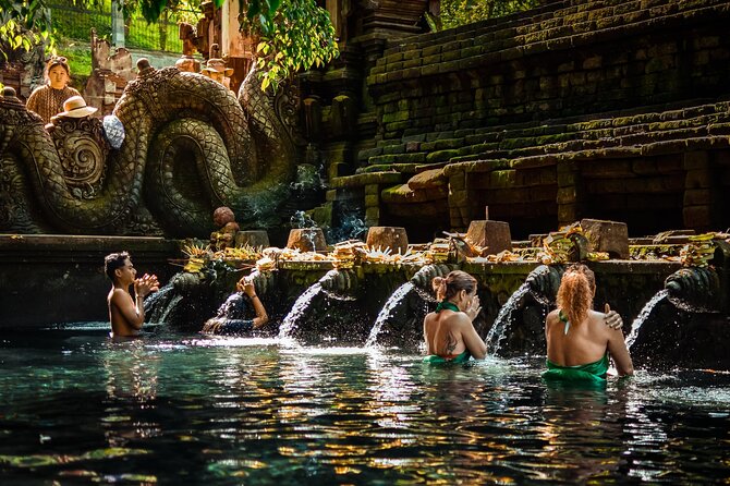 Ubud Tour With Swing, Temple, Monkey Forest, and Waterfall - Traveler Photos