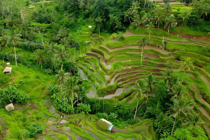 Ubud Village, Waterfall and Kintamani Volcano Tour - Sum Up