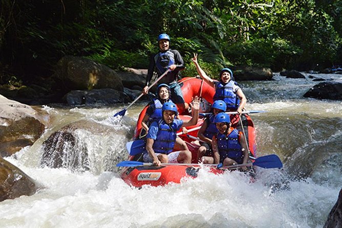 Ubud White-Water Rafting With Lunch and Private Transfers  - Kuta - Customer Reviews