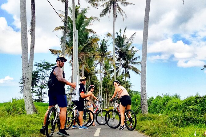 Ubud Wonderful Afternoon Downhill Cycling Tour - Customer Reviews