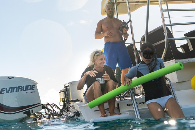 Ultimate 3.5 Hour Snorkel - Sum Up