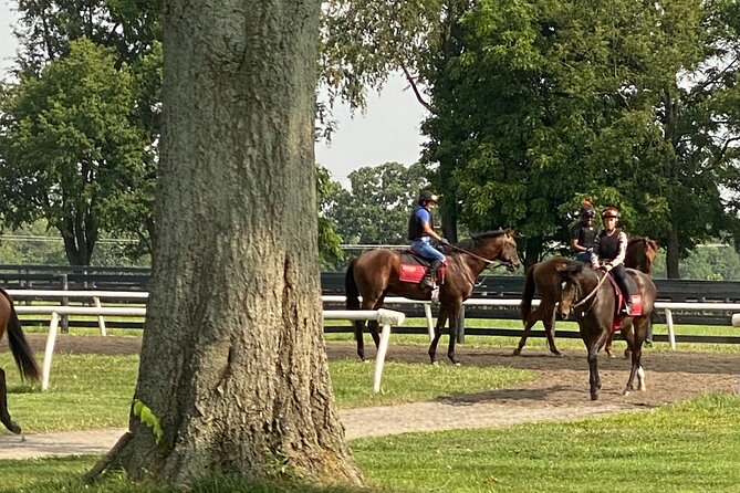 Unique Horse Farm Tours With Insider Access to Private Farms - Directions