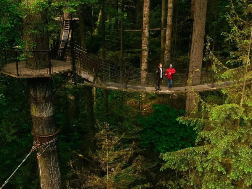 Vancouver Day TripGrouse Mountain&Capilano Suspension - Tips for a Memorable Trip