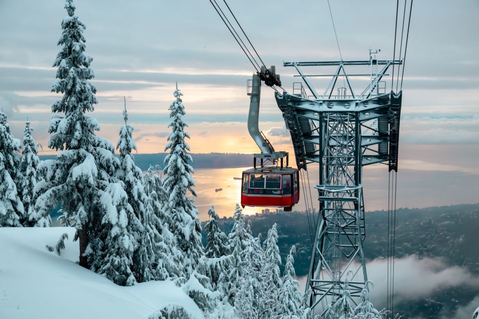 Vancouver: Grouse Mountain Admission Ticket - Sum Up