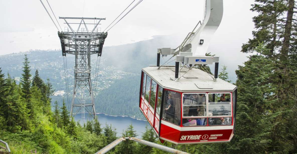 Vancouver: Grouse Mountain Express Tour With Skyride - Key Points