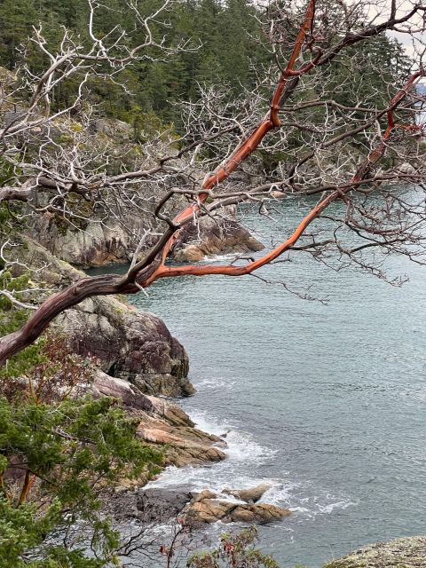 Vancouver: Lighthouse Park Hike - Common questions