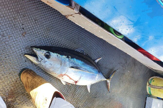 Victor Harbour Bluefin Tuna Catch and Dine - Common questions