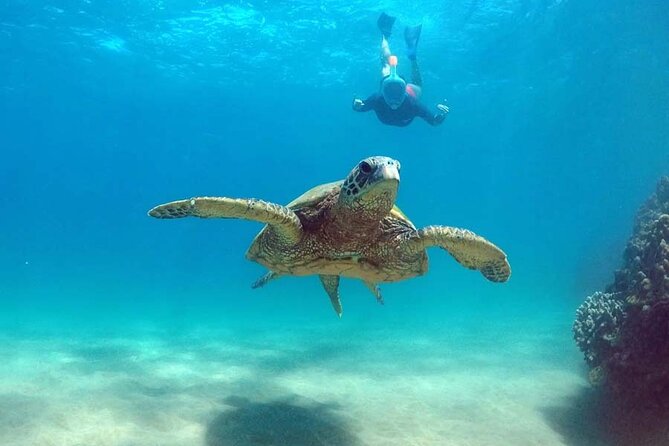 Waikiki Catamaran Cruise With Snorkeling and Paddling  - Oahu - Onboard Experience