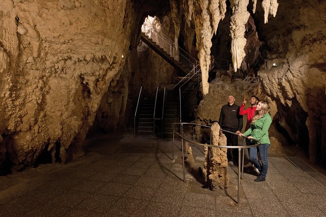 Waitomo Glowworm Cave Experience - Small Group Tour From Auckland - Sum Up