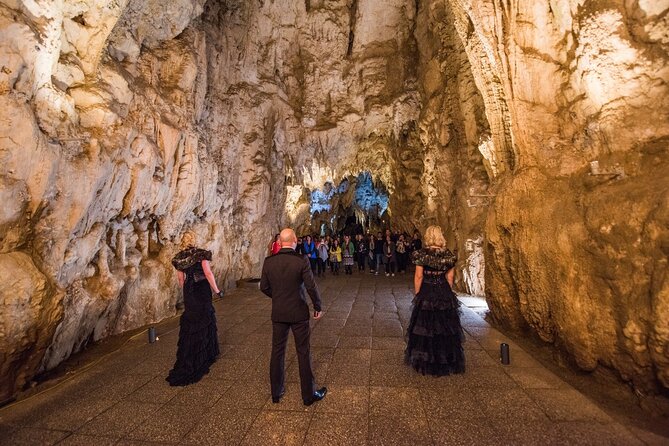 Waitomo Glowworm Caves -Shore Excursions & Private Tour -Auckland - Return Transportation Information