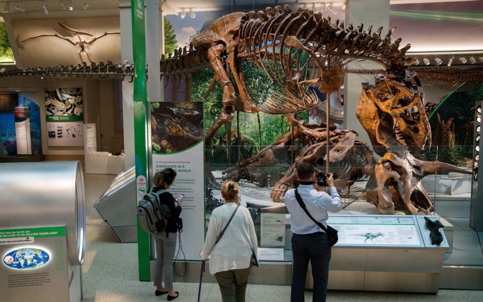 Washington DC: Museum of Natural History Private Guided Tour - Meeting Point