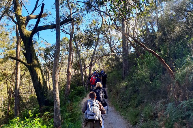 Waterfall Gully to Mt Lofty Guided Hike - Sum Up
