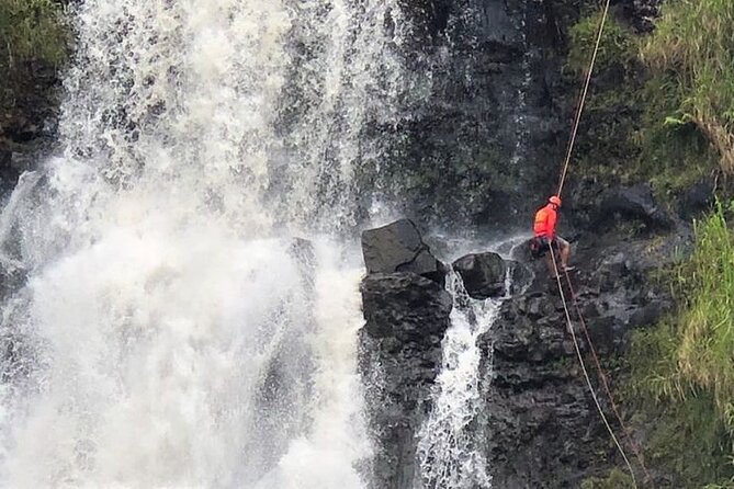 Waterfall Rappelling at Kulaniapia Falls: 120 Foot Drop, 15 Minutes From Hilo - What To Expect