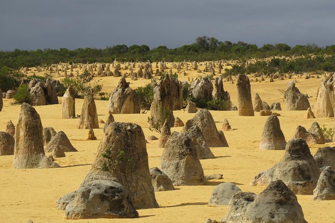 Wave Rock, Pinnacles and Rottnest One Day Aeroplane Tour - Traveler Resources